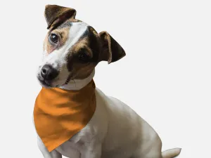 Bandoggies Dog Bandana - Florida Orange