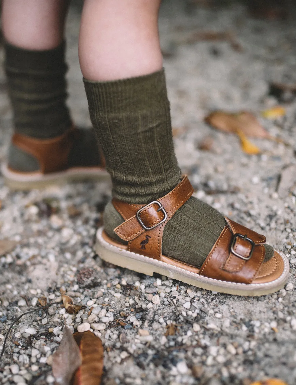 Buckle Sandal - Cognac