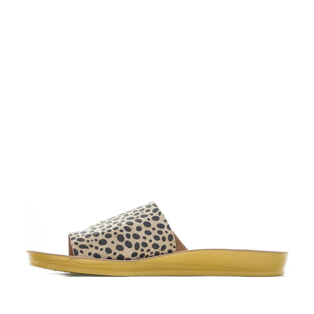 CC RESORTS VIVO LEO PRINT