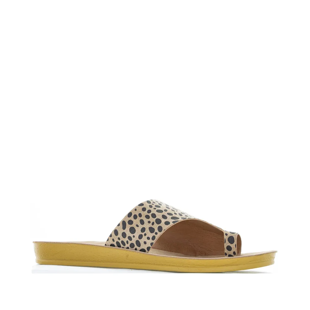 CC RESORTS VIVO LEO PRINT
