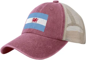 Flag of The Welsh Colony in Patagonia Baseball Cap Women Men Mesh Back Denim Hat Vintage Trucker Hats Dad Caps