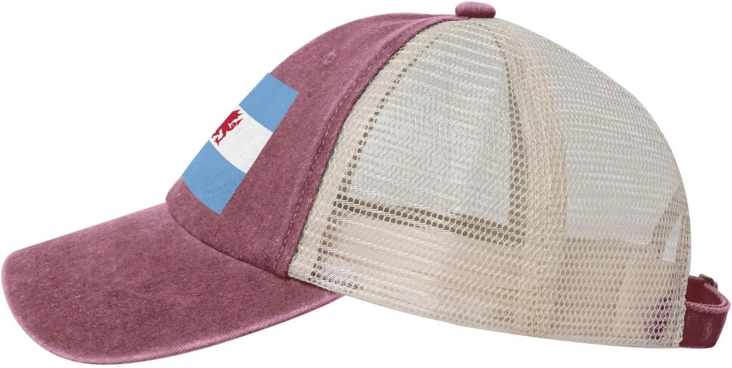 Flag of The Welsh Colony in Patagonia Baseball Cap Women Men Mesh Back Denim Hat Vintage Trucker Hats Dad Caps