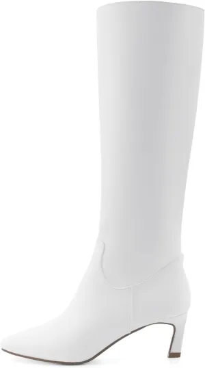 Knee High Boots for Women Kitten Heel Pointed Toe Low Mid Heel Long Tall Boots