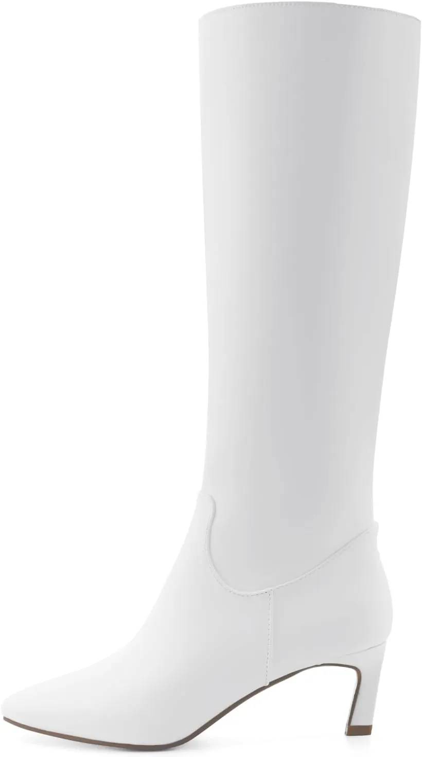 Knee High Boots for Women Kitten Heel Pointed Toe Low Mid Heel Long Tall Boots