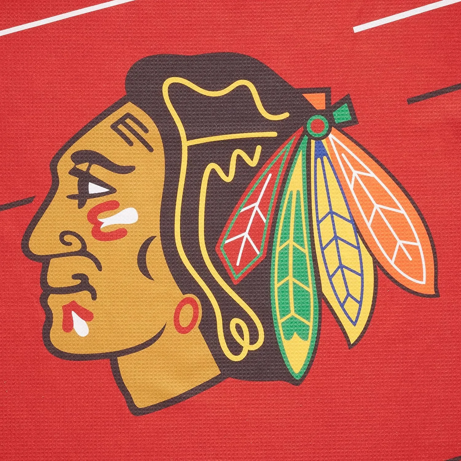 NORTHWEST NHL Unisex-Adult Beach Towel & Mesh Bag Set