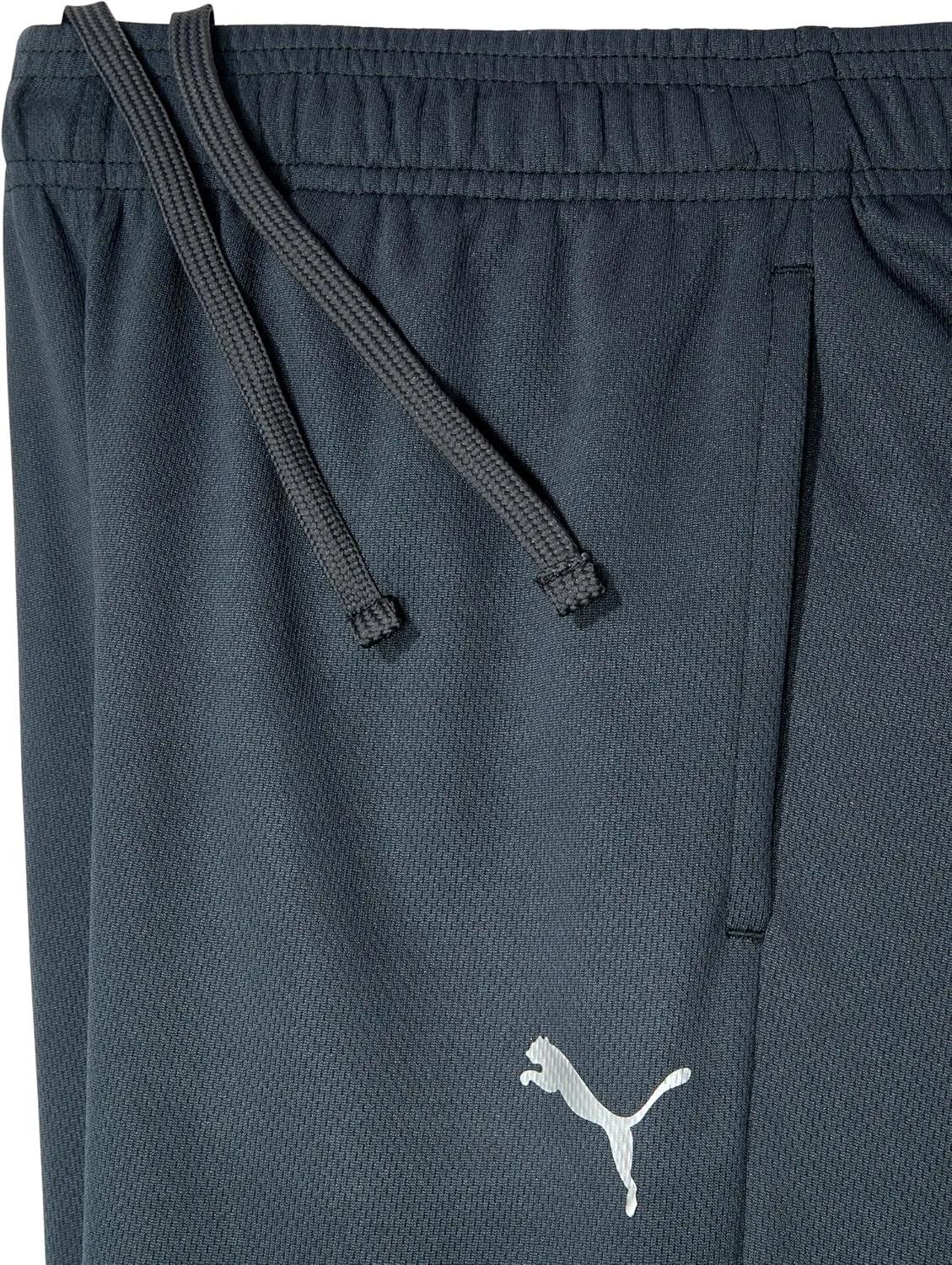 PUMA Boys' Core Logo Mesh Pant