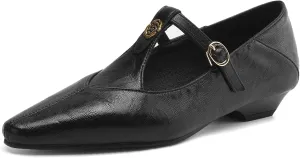 Women's Elegant T-Strap Vintage Pumps Block Low Heel Pointed Toe Cut Out Mary Jane