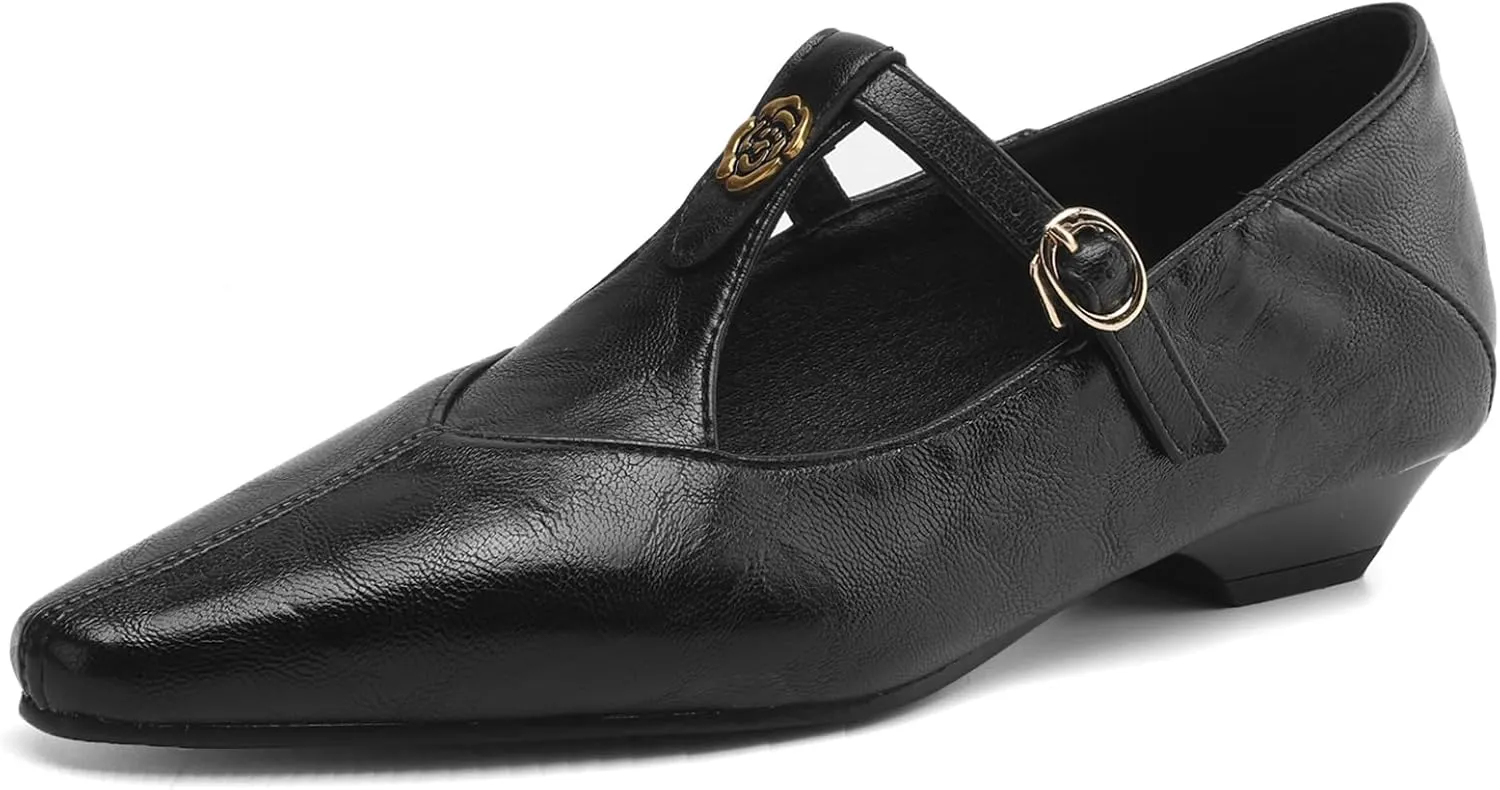Women's Elegant T-Strap Vintage Pumps Block Low Heel Pointed Toe Cut Out Mary Jane