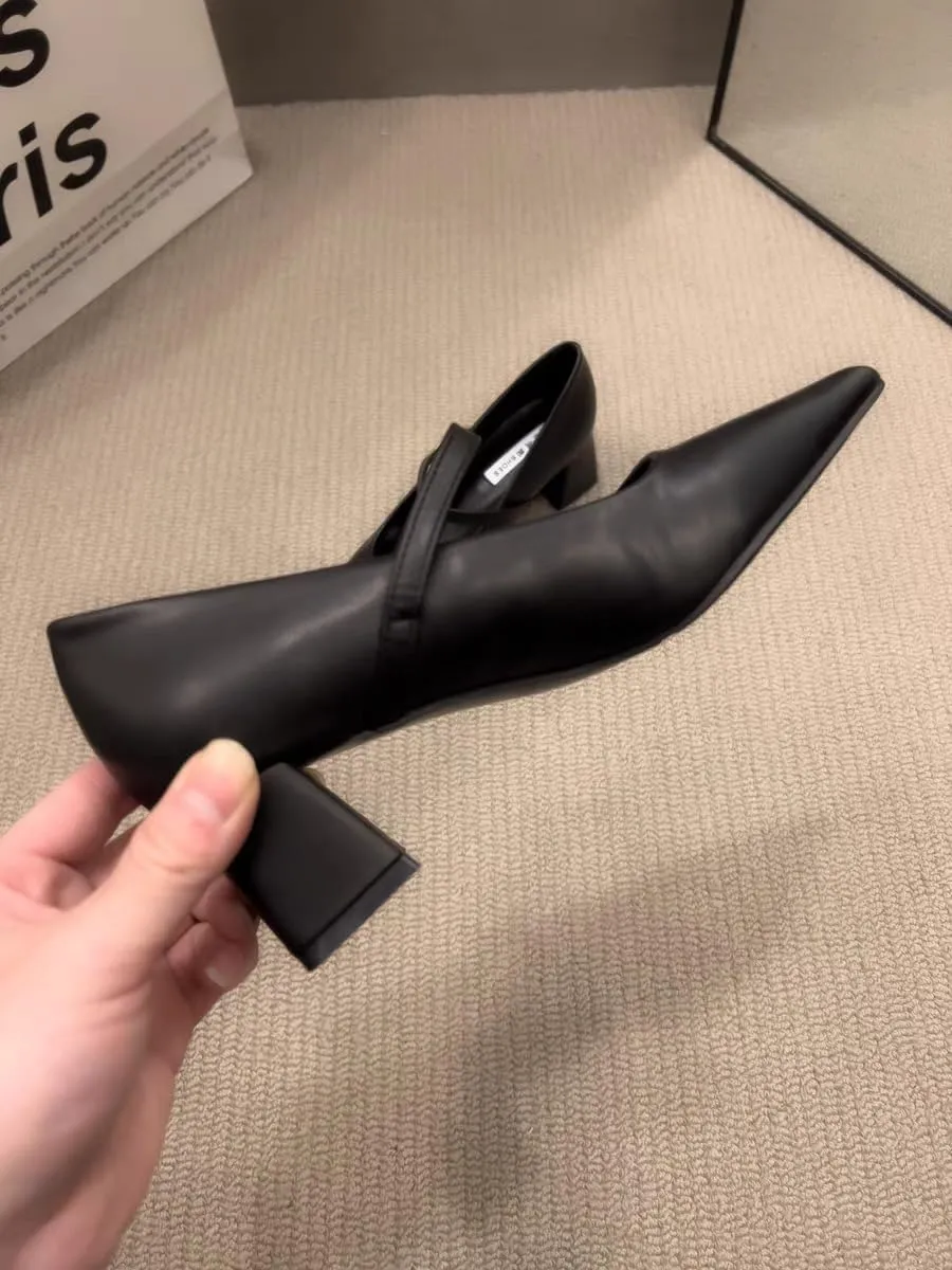 Women's French Style Pointed Toe Mary Jane Shoes - Vintage Chunky Heel Elegant High Heels with a Touch of Sophistication